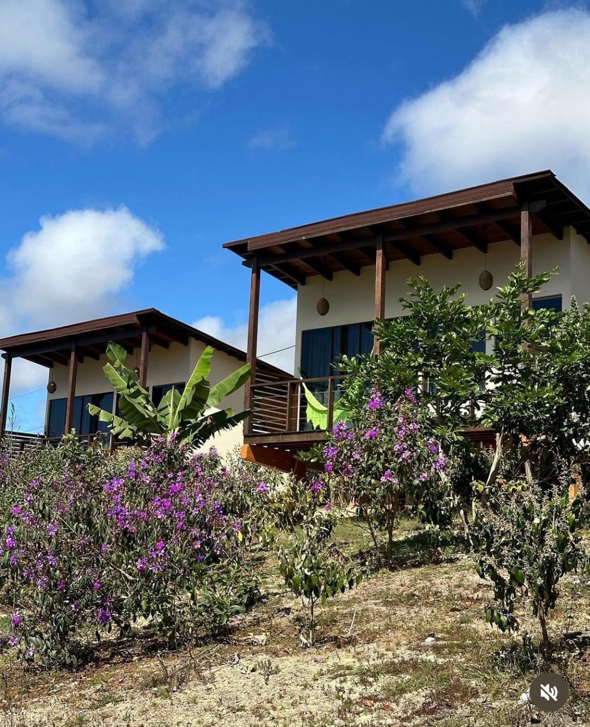 Pousada Rancho Dos Ipes Alto Paraíso de Goiás Exterior foto